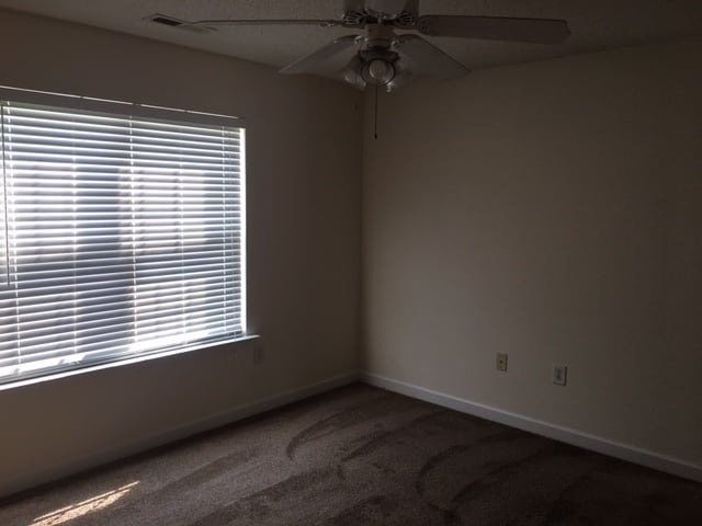 Building Photo - Three bedroom two bathroom house