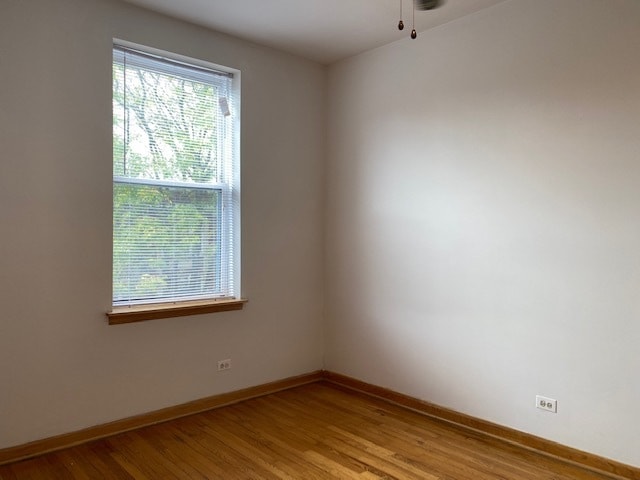 Building Photo - 642 W Buckingham Pl