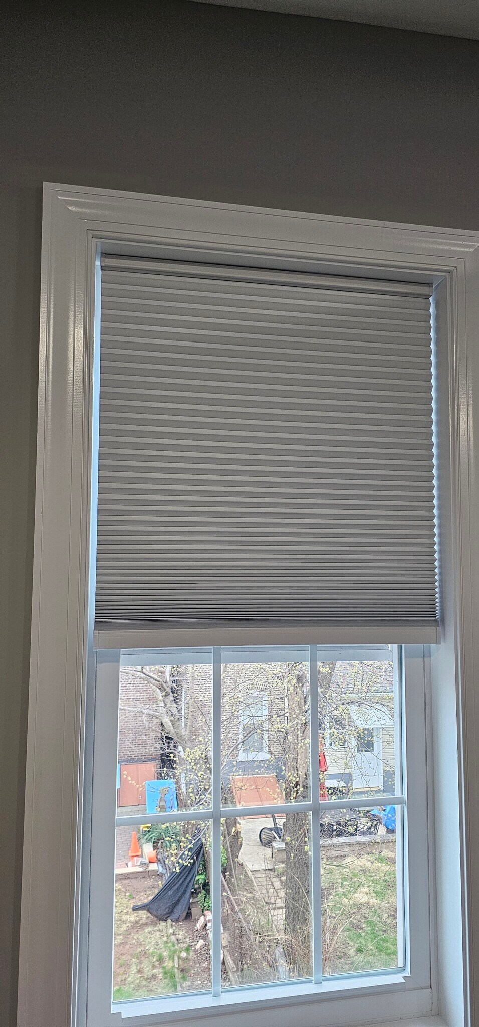 Building Photo - 210 Franklin St