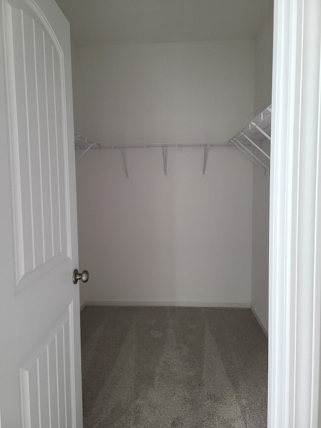 Building Photo - 4113 Pegasus Pkwy