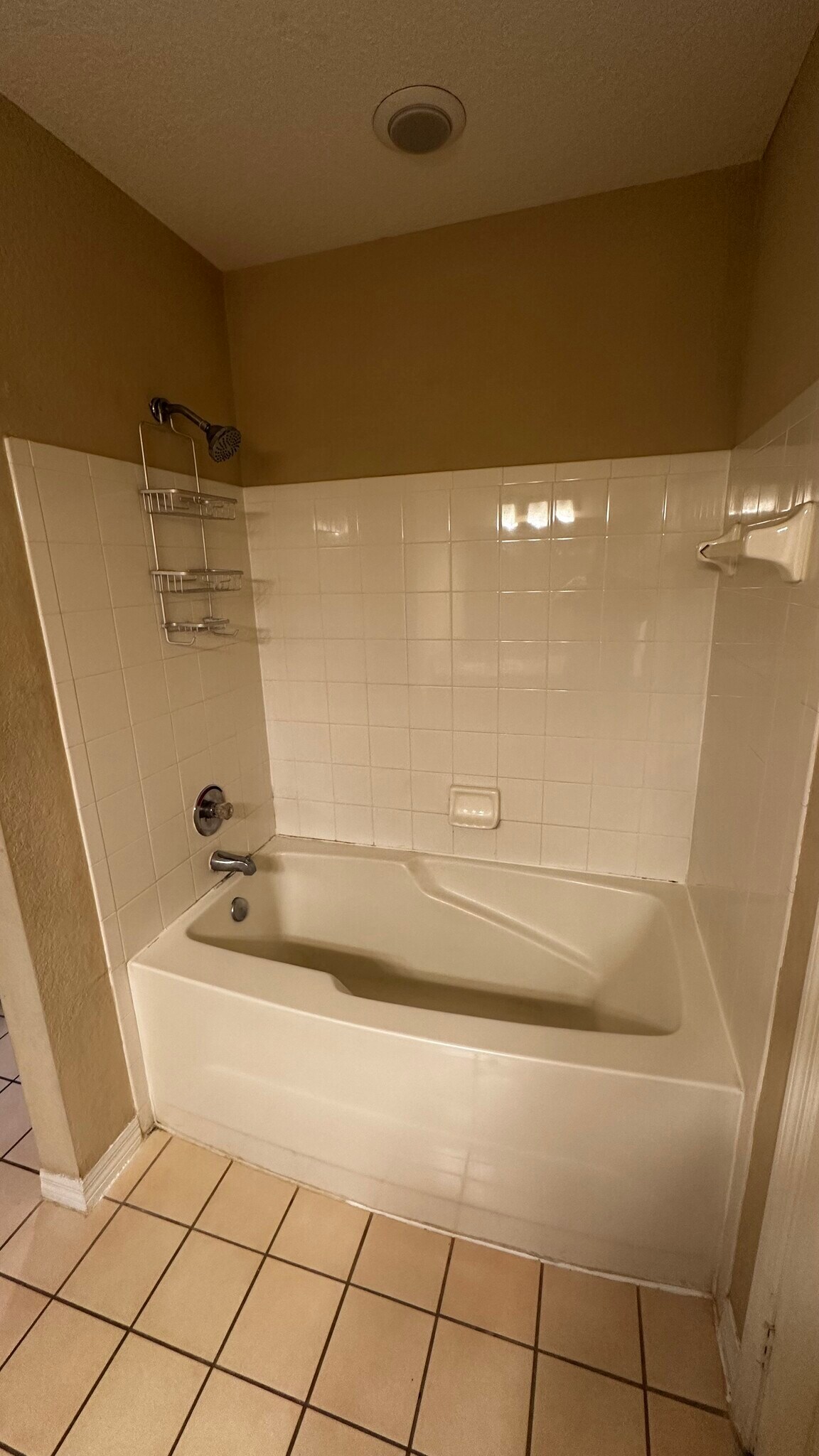 Master Bath 1 Tub - 6300 Raleigh St