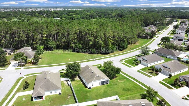 Building Photo - 7603 Crescent Palm Dr
