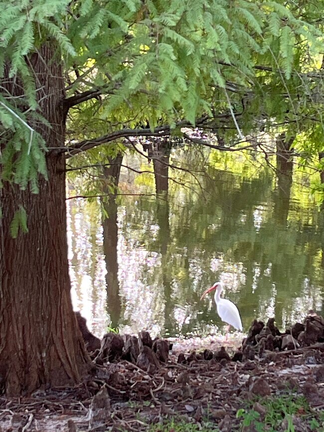 Building Photo - 14467 Mirabelle Vista Cir