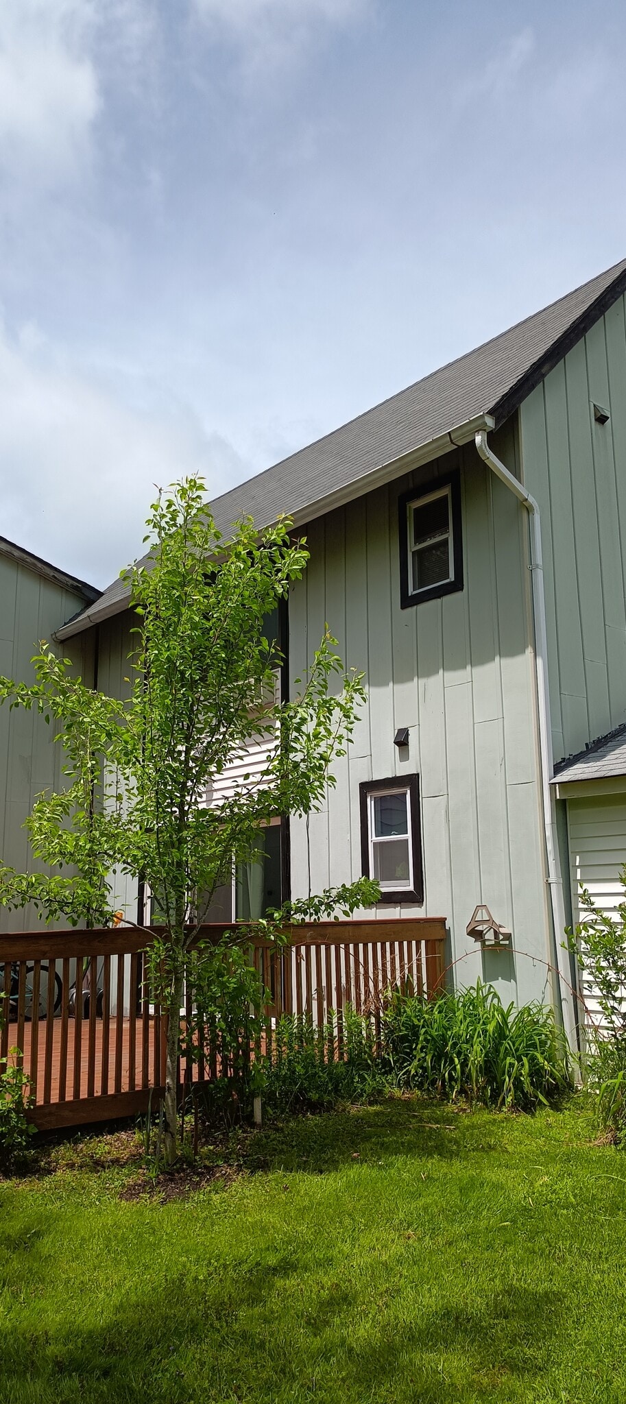 Rear of house. - 29 Peter Way