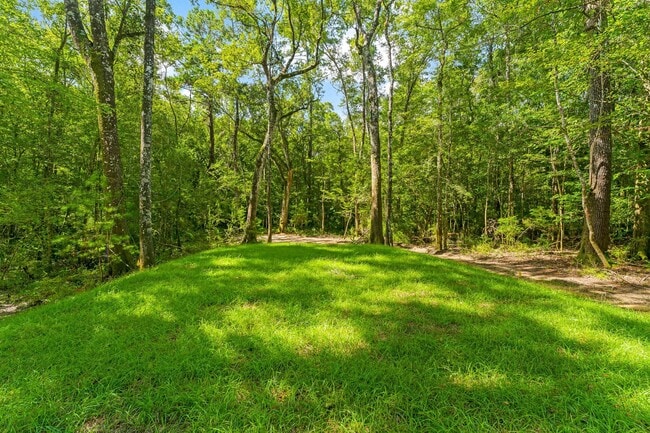 Building Photo - 493 Choctawhatchee River Rd