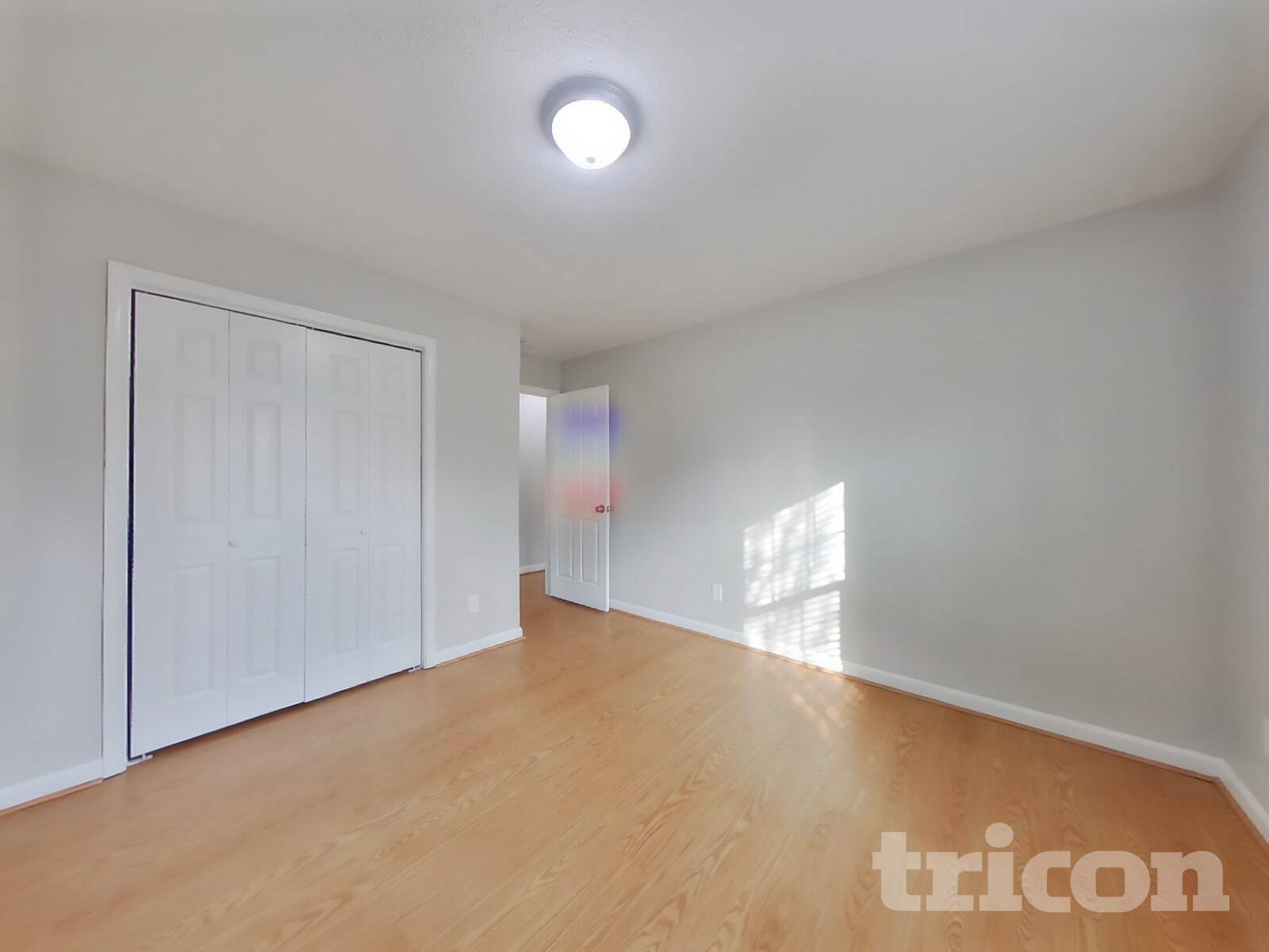 Building Photo - 712 Paige Ct