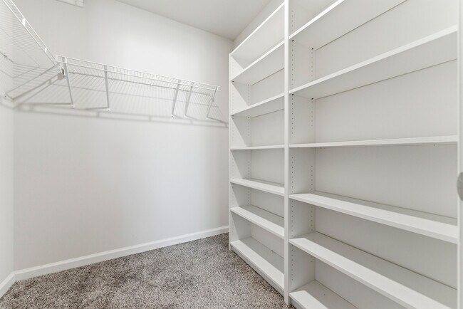 Building Photo - 1429 Vayda Ct