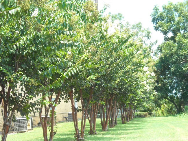 Building Photo - 705 S Jackson St