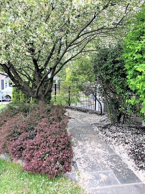Building Photo - 38 Beaverbrook Rd