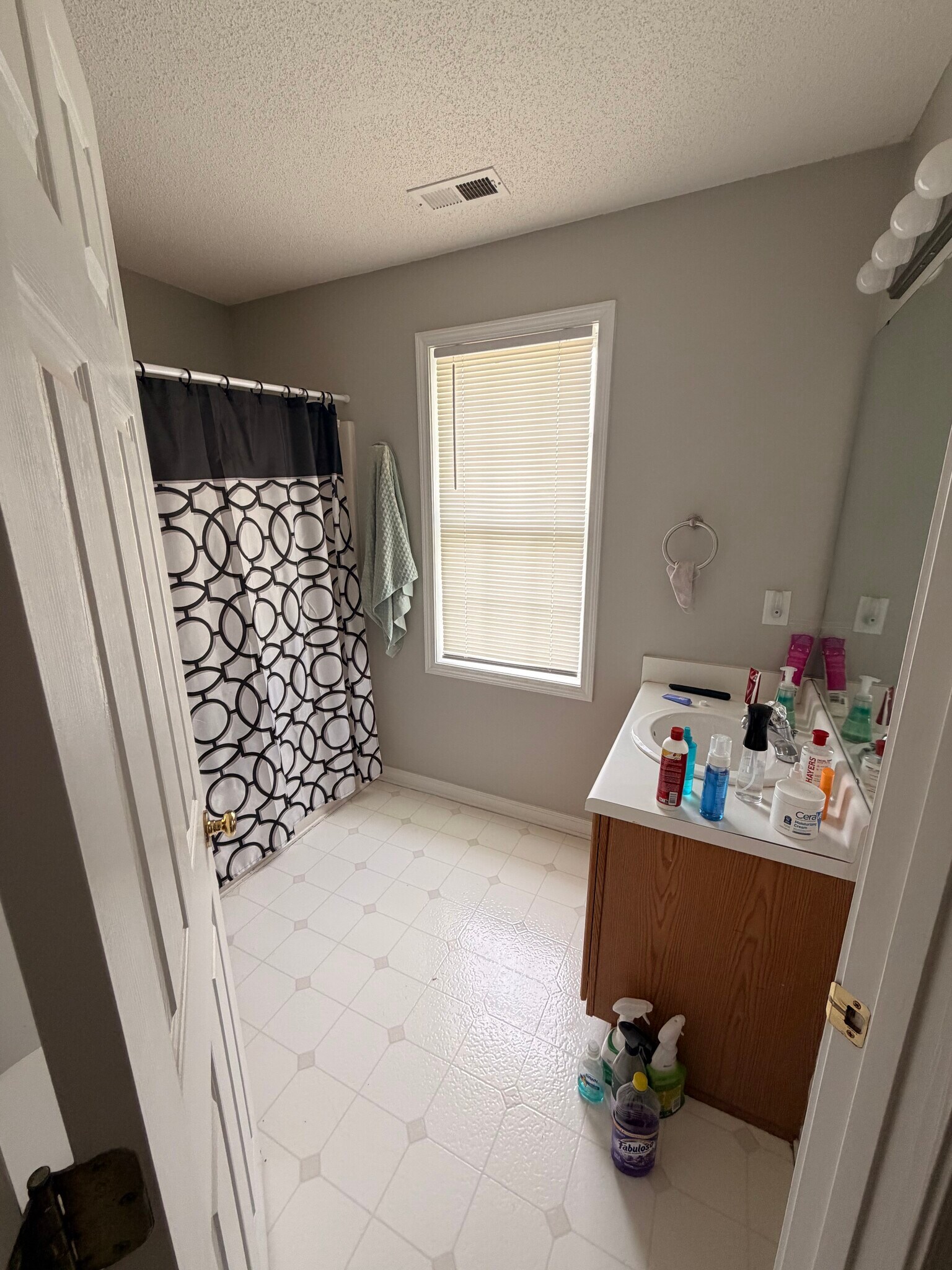 Building Photo - 2437 Appalachian Drive