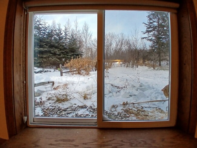 downstairs bed-right window - 15160 E Robin Ln