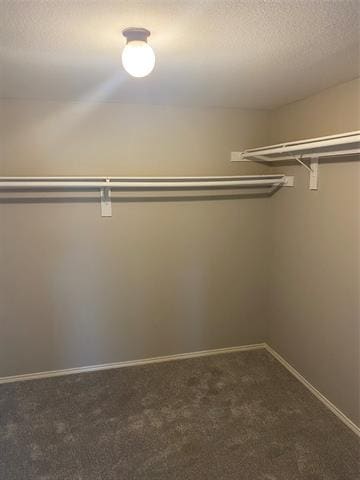 Building Photo - 3904 Ironstone Ln