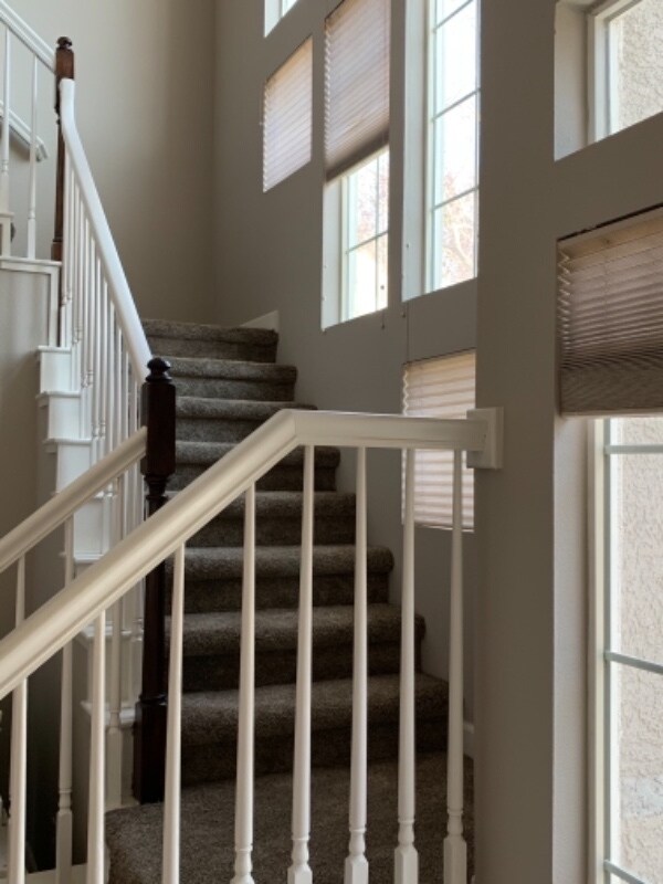 9673 Truckee Meadows Pl 9673 Truckee Meadows Pl Reno NV 89521 Apartment Finder