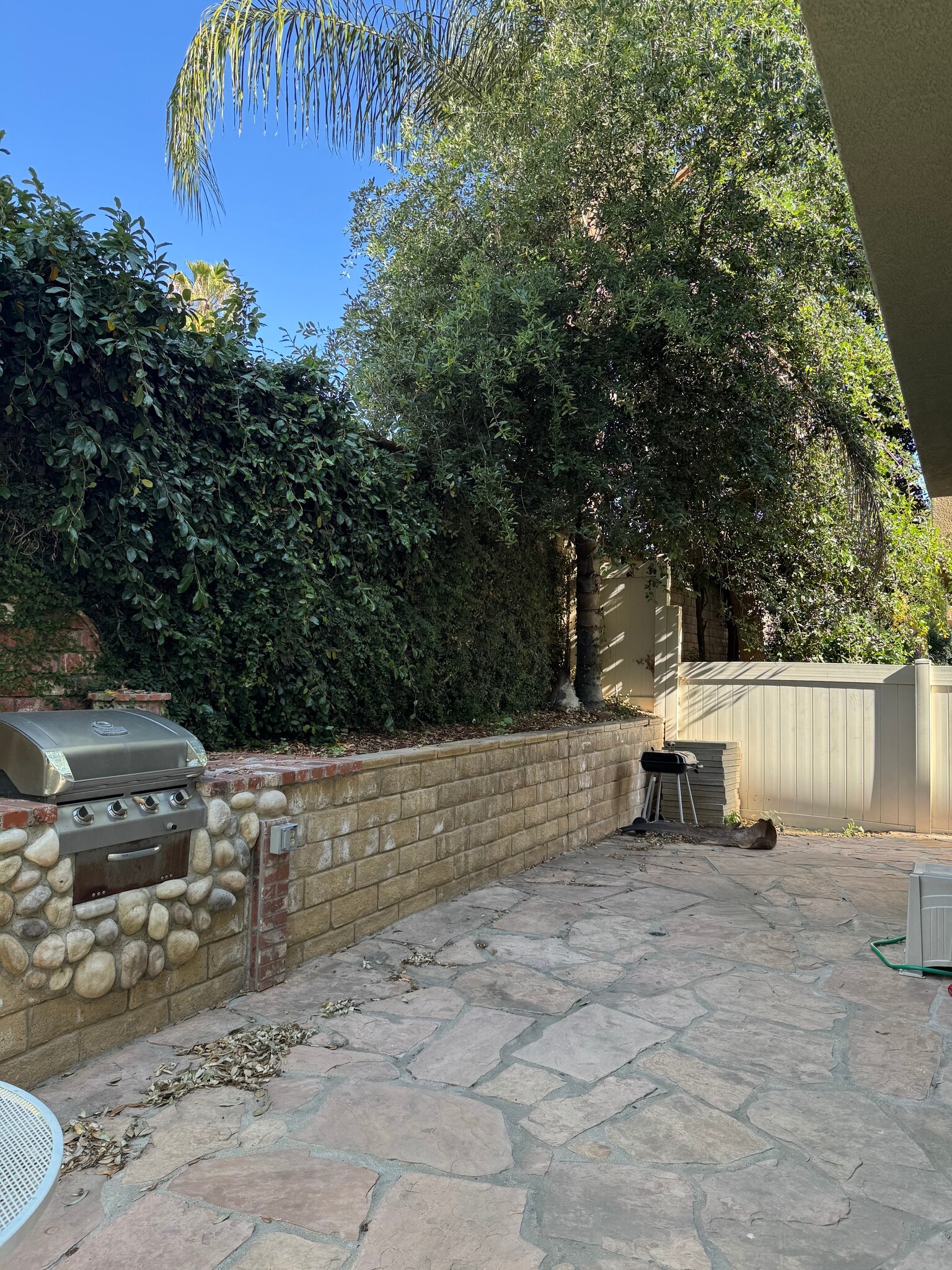 Backyard - 31439 Arena Dr