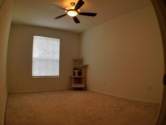 Building Photo - 6265 Contessa Dr