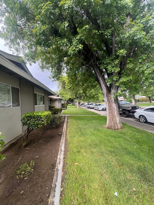 Building Photo - Super cute 2 bedroom condo