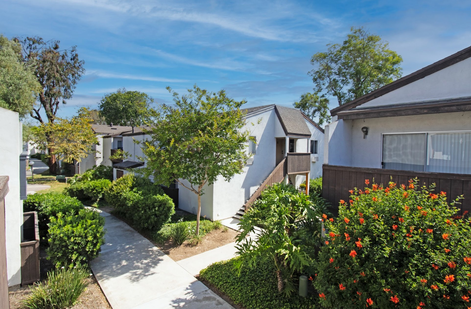 Building Photo - 1337 Caminito Gabaldon