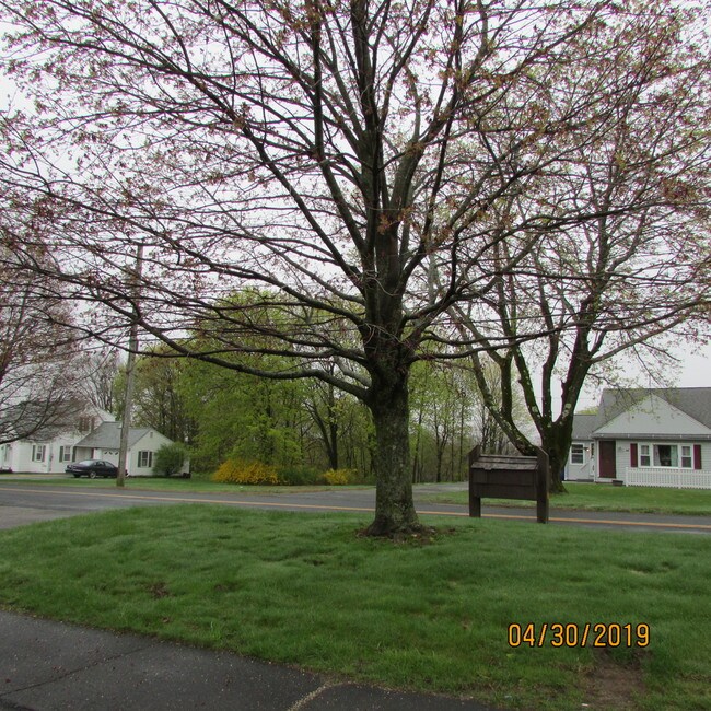 Street View - 700 High Street Ext