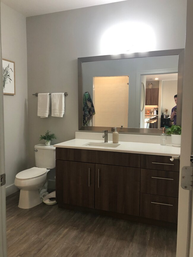 Guest Bath - 11 W Gay St