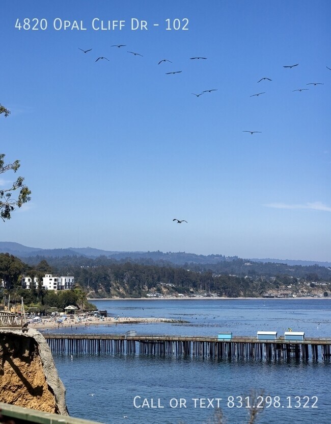 Building Photo - panoramic beach view 1 bed 1 bath minutes ...