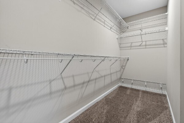 Building Photo - 525 Low Country Ct