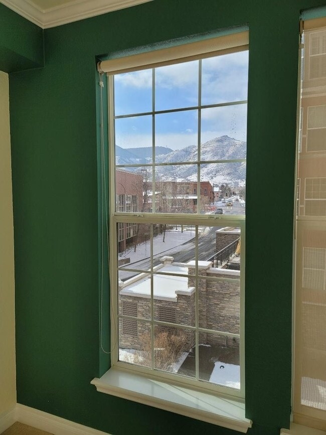 Building Photo - 2 Bed 2 Bath High-End Condo in Downtown Go...