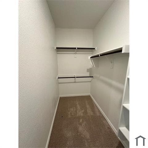 Building Photo - 336 Wentworth Dr