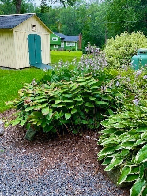 Building Photo - 18 Taylor Rd