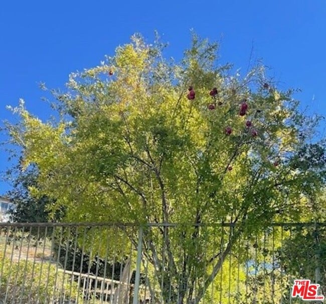 Building Photo - 11040 Renaissance Dr