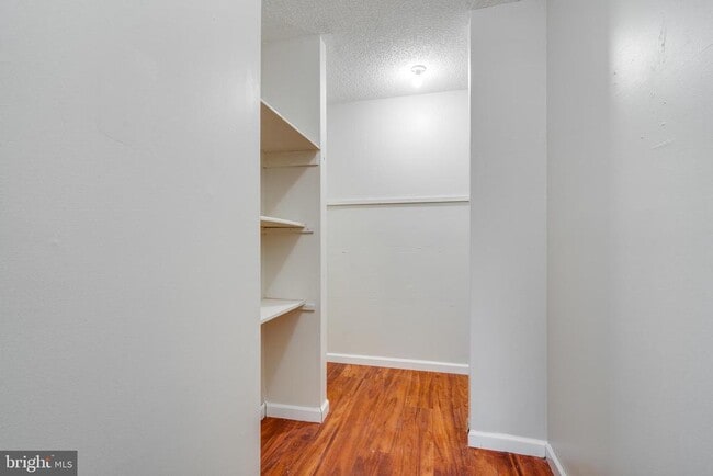 Building Photo - 38 Holly Ct