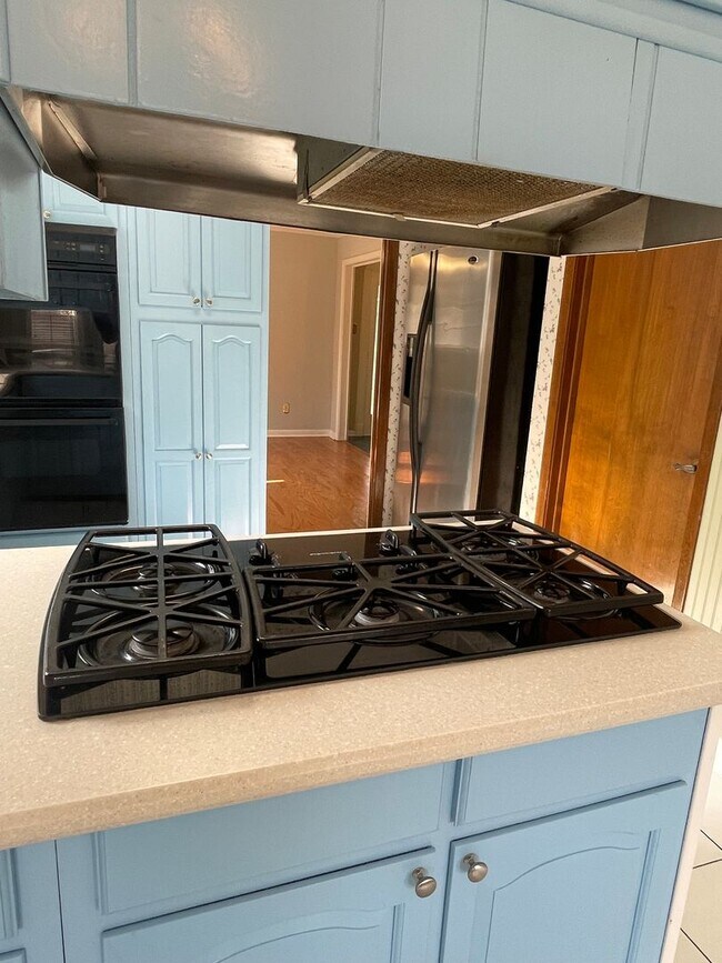 Building Photo - Spacious 4BD Home in Metairie, with Driveway and HUGE Fenced in Backyard