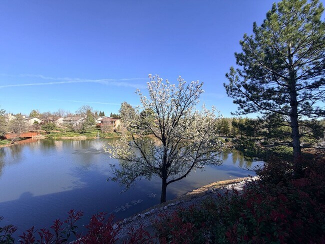 Building Photo - Beautiful Lakefront Home in the Vineyard! 55+ community