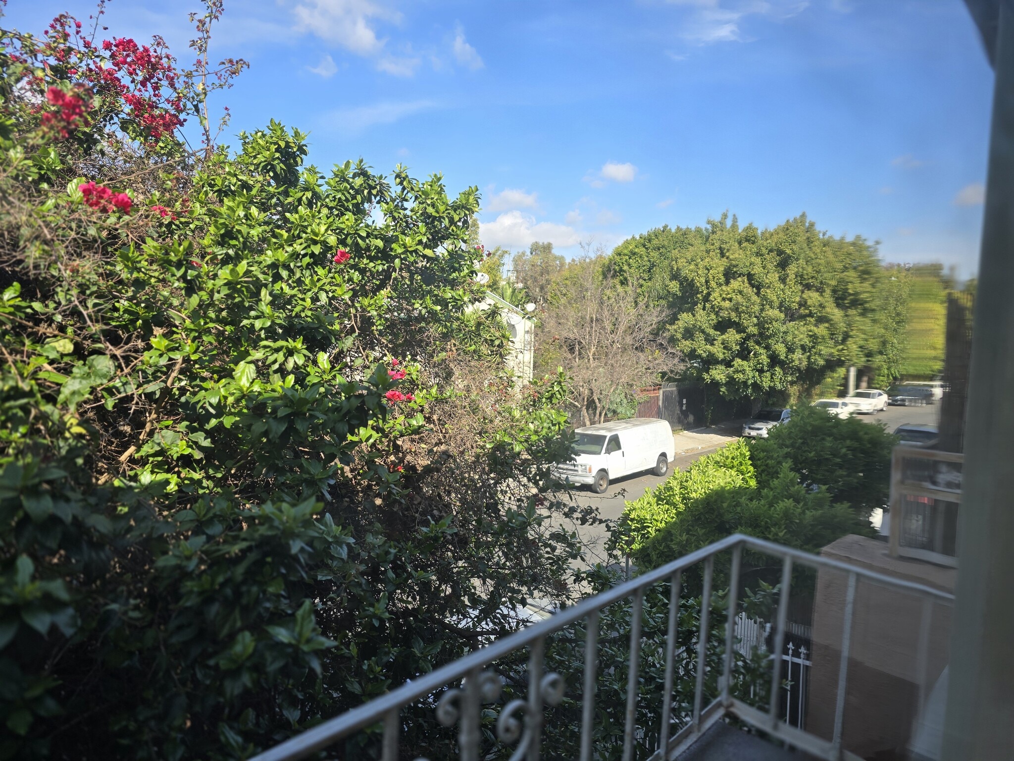 Serene view! Conway Recoding studios across the street - 608 N St Andrews Pl