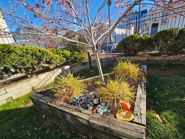 Building Photo - Cherry Creek Beautiful and Bright 1 Bed 1 Bath Condo