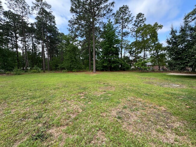Building Photo - Beautiful 3 Bed 2 Bath Home in Jack Britt
