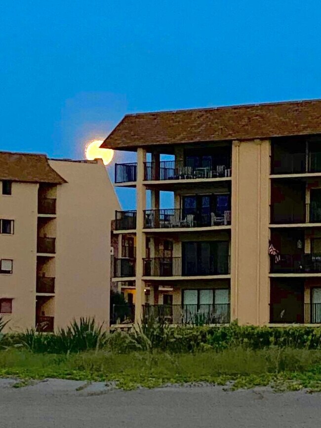 Building Photo - 8500 Ridgewood Ave