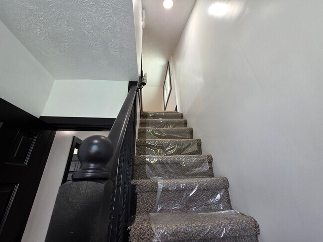 Building Photo - 1111 Freyburg St
