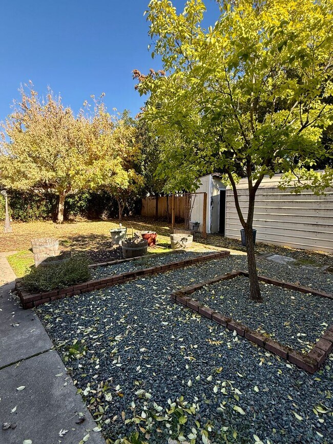 Building Photo - 3 Bedroom 1 Bath House!