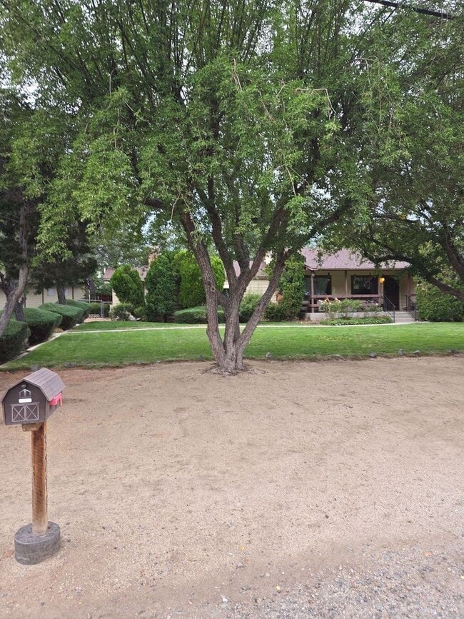 Building Photo - Beautiful Home in Old Southwest Reno w/Large Backyard