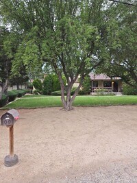 Building Photo - Beautiful Home in Old Southwest Reno w/Large Backyard