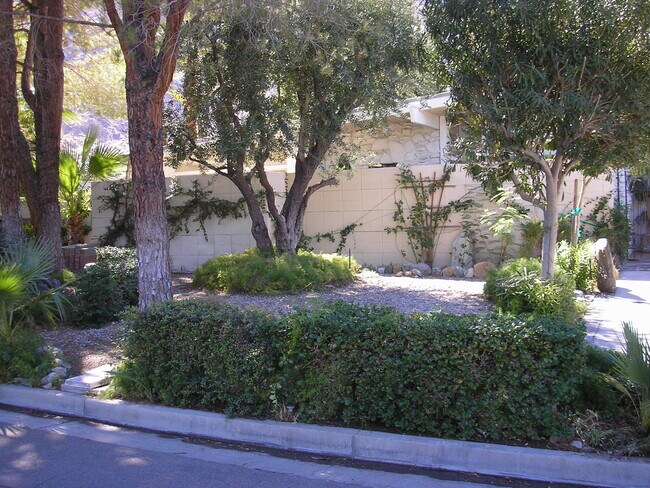 Front yard area - 835 N Rose Ave