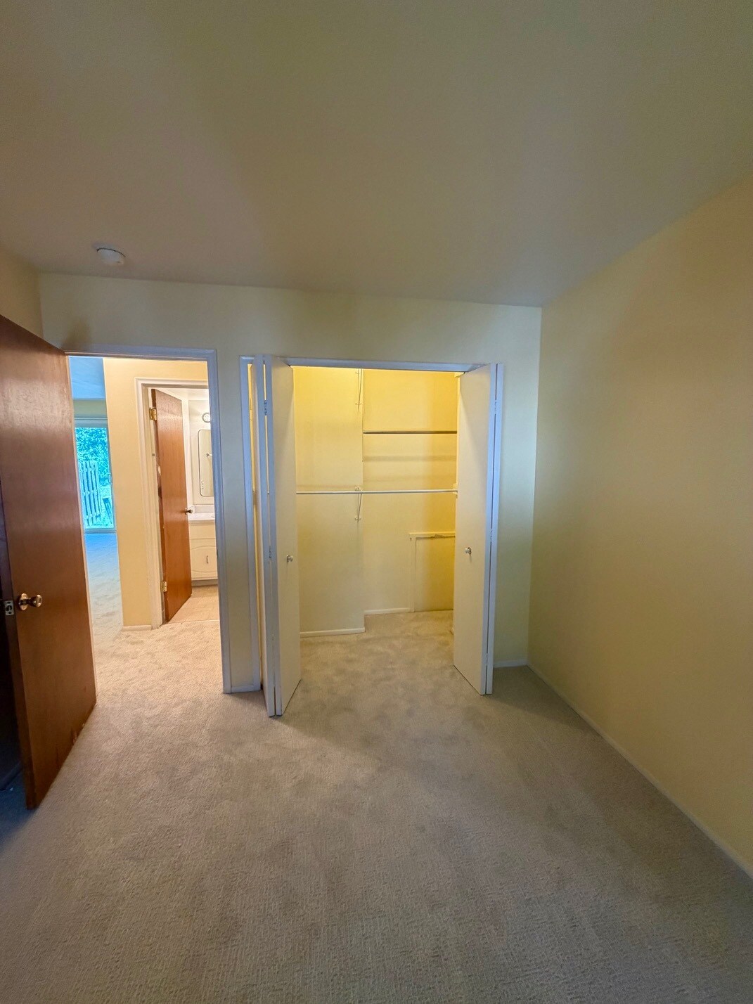 Master bedroom with new carpet in 2026 - 3234 Bolgos Cir