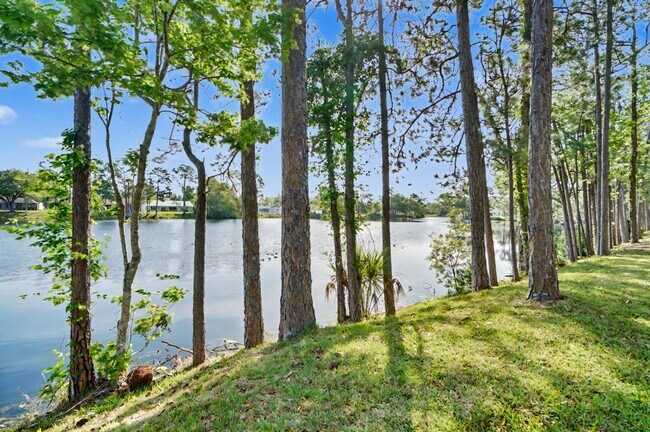 Building Photo - Available now!