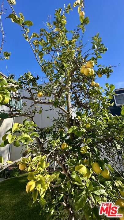 Building Photo - 4214 Lafayette Pl