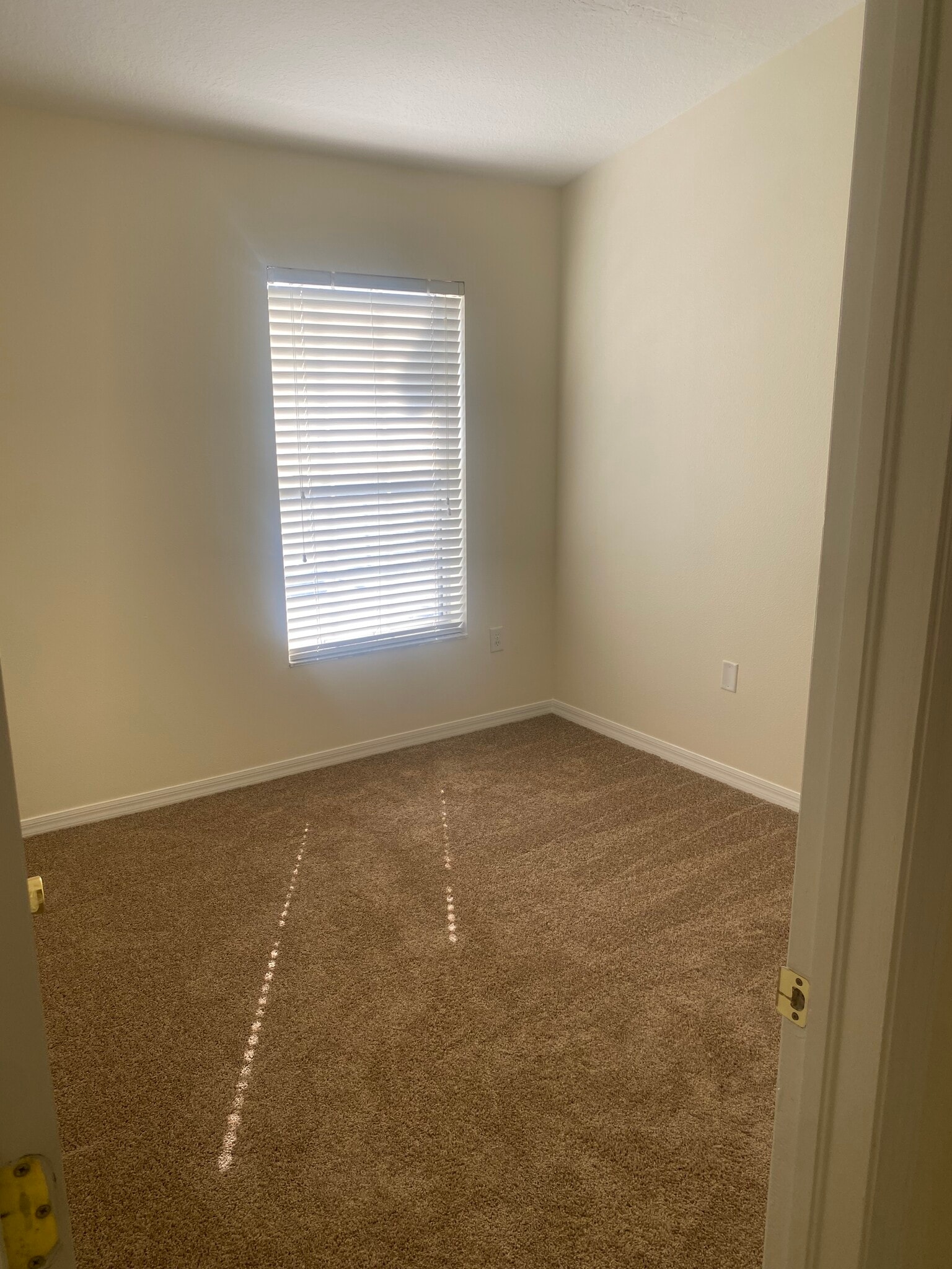 Building Photo - 1508 Blue Magnolia Rd