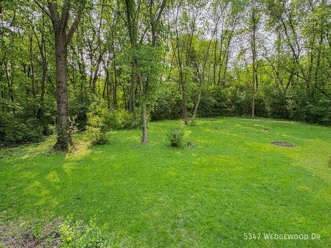 Building Photo - 5347 Wedgewood Dr
