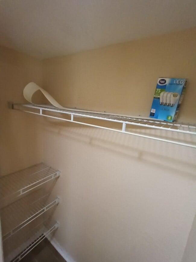 Building Photo - 7330 Westpointe Blvd