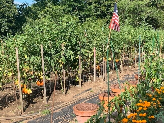 Building Photo - 14 Stony Brook Ln