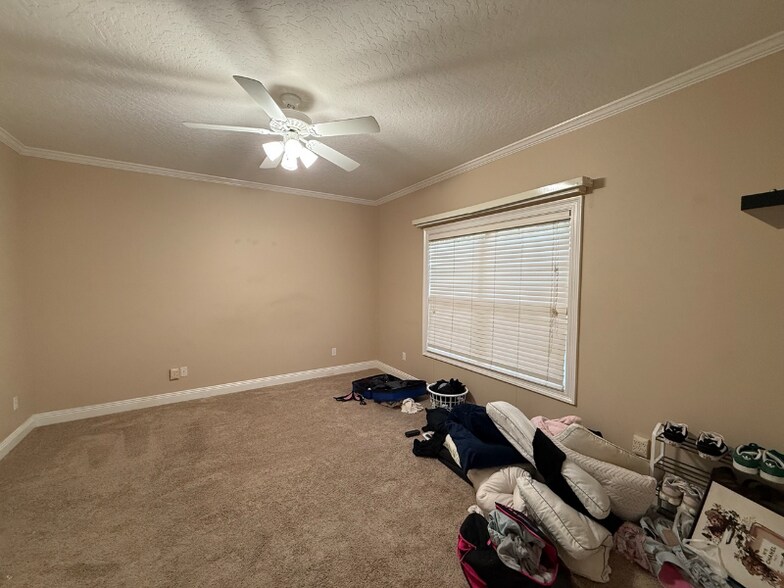 Building Photo - 808 Lark St