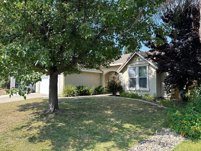Building Photo - 1824 San Diego Cir